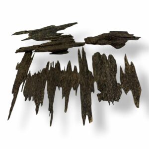 Malaysian Zura Top (A1)